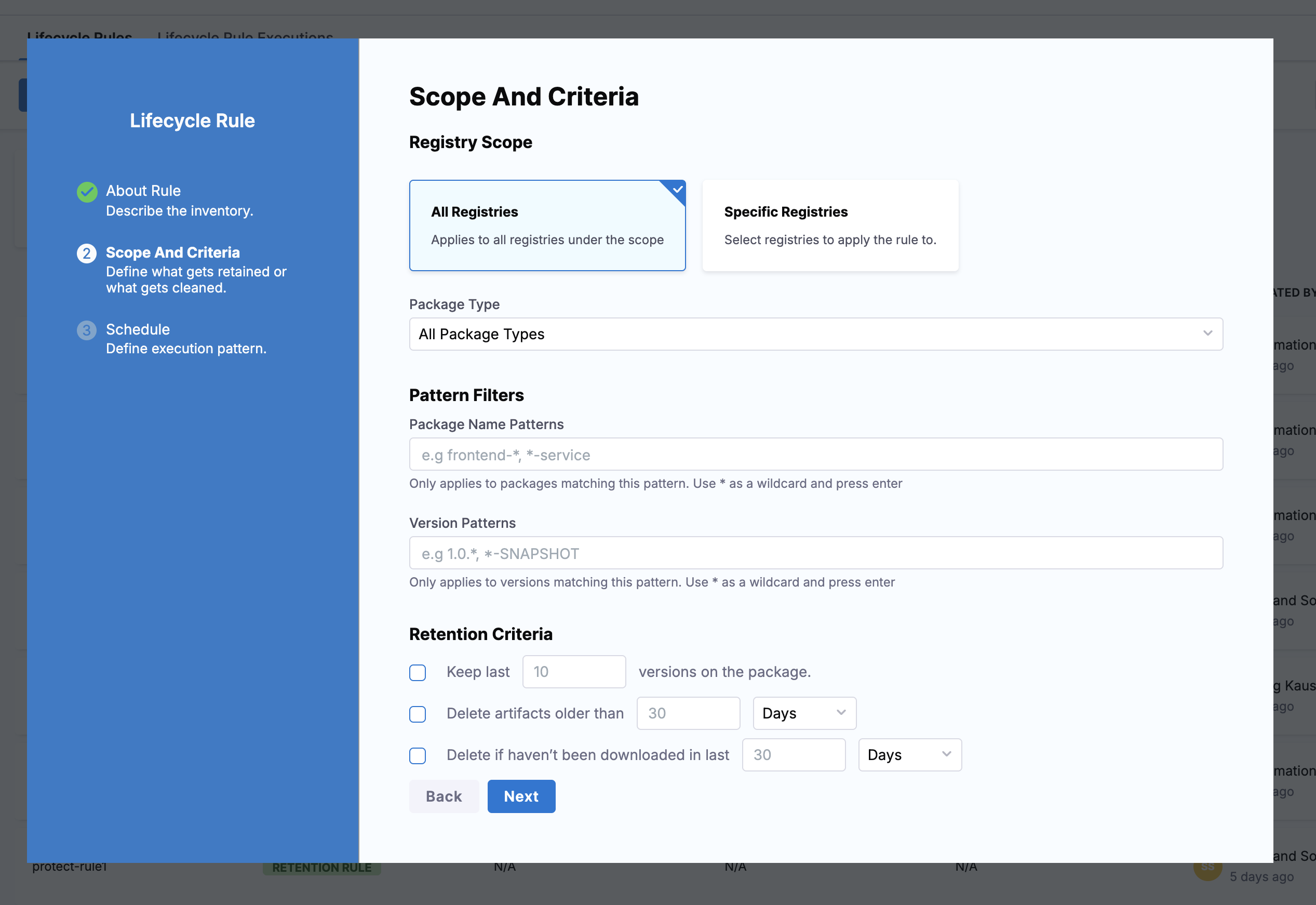Scope And Criteria step showing registry scope, package type, pattern filters, and cleanup criteria
