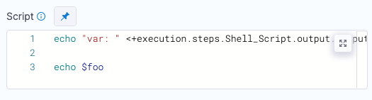 Script referencing the input variable name foo